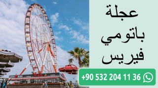 عجلة باتومي فيريس